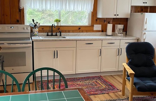 Cedarville Cabin | Mackinac Cabin - Les Cheneaux Landing
