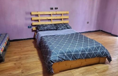 Bole Hostel | Mad Vervet Backpackers Hostel