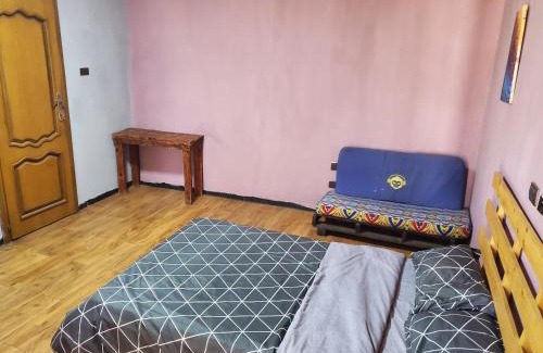 Bole Hostel | Mad Vervet Backpackers Hostel