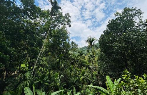 Hali-Ela Apartment | Madiriya Forest Lodge Apartment