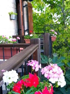 Arsos House | Magdalous House