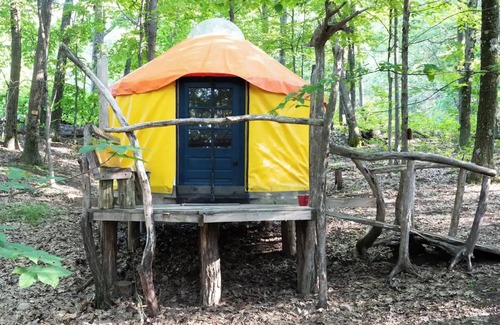 Coeymans Hollow Cabin | Magic Forest Farm Yurt
