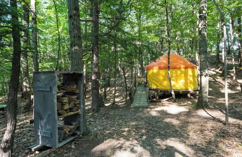 Coeymans Hollow Cabin | Magic Forest Farm Yurt