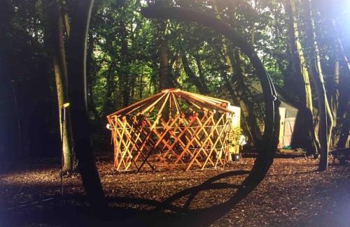 Broad Oak Other | Magical Forest yurt