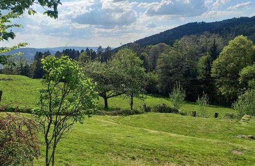 Vagney Cottage | Magnificent cottage, comfort and nature with sauna.