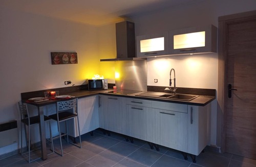 Chatillon-en-Michaille Apartment | Magnificent independent Studio