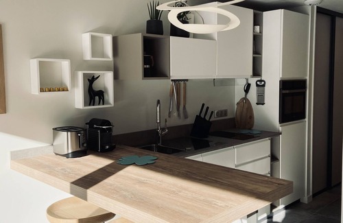 Le Grand-Bornand Apartment | MAGNIFICENT NEW APARTMENT WITH TERRACE IN A LUXURY CHALET