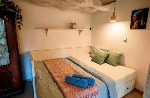 Vysne Opatske Apartment | Magnolia Apartment with free parking