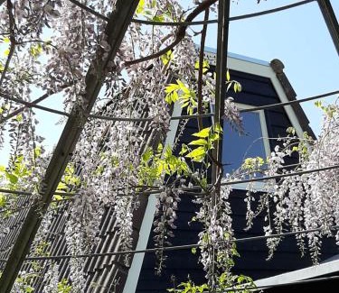 Municipality of Meppel Bed & Breakfast | Mahil-Laya