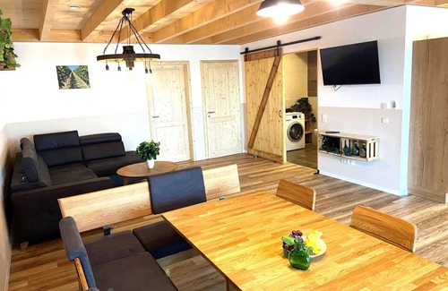 Kitzingen Apartment | Main barrier-free vacation in the vineyard
