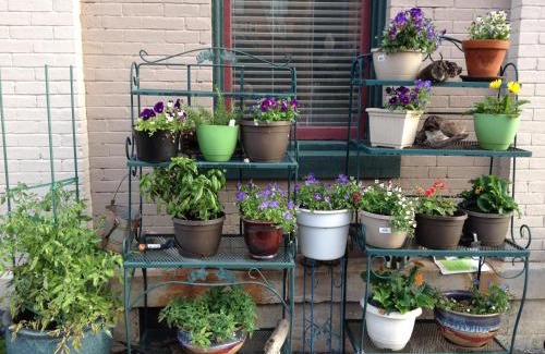 Hannibal Bed & Breakfast | Main Street Bed & Breakfast