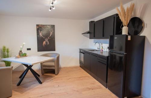 Rothlein Apartment | MainApartment