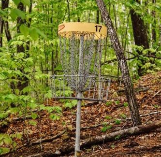 Stoneham House | Maine Treehouse-The Spruce Suite
