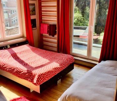 Bailleul House | Maison confortable avec piscine privée à Bailleul