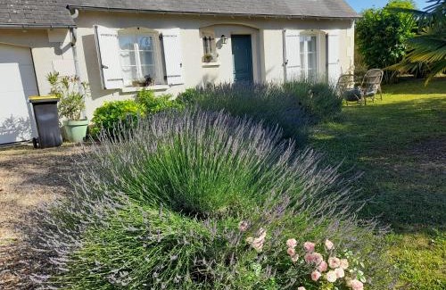 Blere House | Maison de Marie