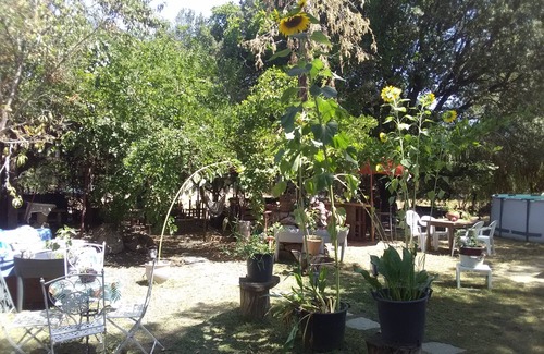 Moltifao Bed & Breakfast | Maison de Table d Hotes a Côté de la Ferme