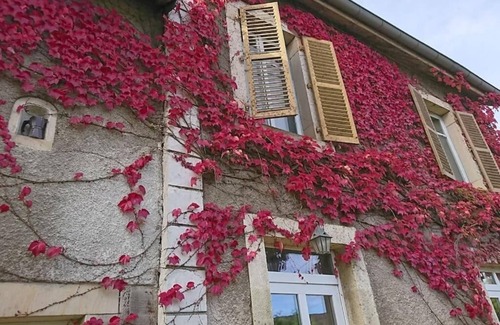 Plancher-Bas House | "maison des Artistes" im Naturpark für bis zu 20 Personen