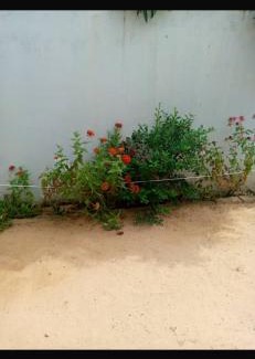 Toubab Dialao Villa | Maison FULANI