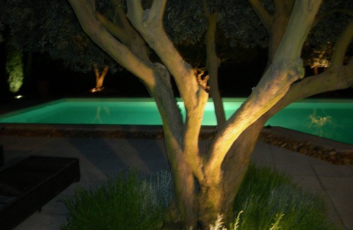 Jonquieres House | Maison Le Clos des Oliviers in the heart of Provence in Vaucluse for 4 people