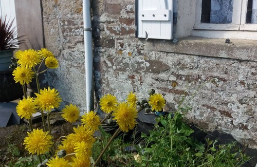 Locarn House | Maison "little big House" Bretonne et Mitoyenne Dans L'argoat
