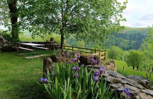 Fontanges House | Maison/Vacances/Montagne