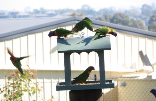 Louth Park Bed & Breakfast | Mala Retreat, Shiraz Suite 5 Star Immaculate and Comfortable