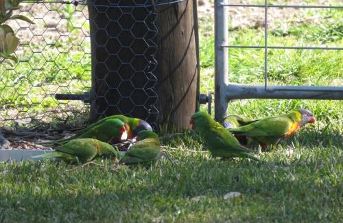 Louth Park Bed & Breakfast | Mala Retreat, Shiraz Suite 5 Star Immaculate and Comfortable