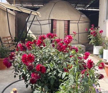 Kochkor House | MALIKA Guest House