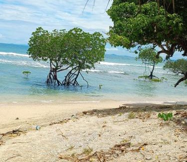 Neil Island Hotel | MALLICK PALACE Neil Island South Andaman
