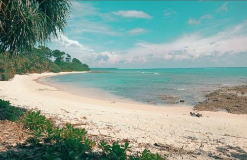 Neil Island Hotel | MALLICK PALACE Neil Island South Andaman