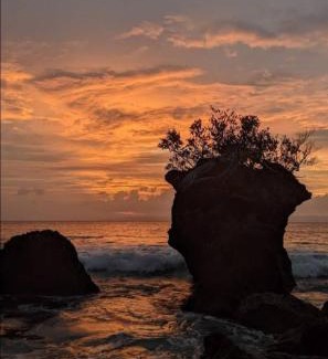 Neil Island Hotel | MALLICK PALACE Neil Island South Andaman