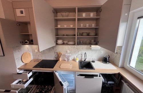 Nowe Miasto Apartment | Malta Point Japandi self check-in
