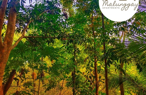 Mariveles Apartment | Malunggay Apartments