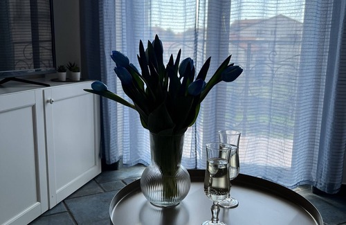 Bomerano Apartment | Mamaral Holiday House, 50 meters from the path of the gods. Free Parking.