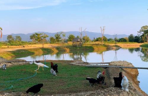 Mae Rim Apartment | Mana-An Lake Hill Resort Apartment
