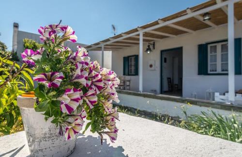 Mandrakia House | Mandrakia Bliss House