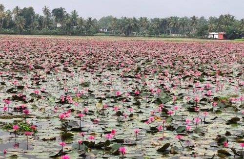 Kumarakom House | Mango Kerala Homes