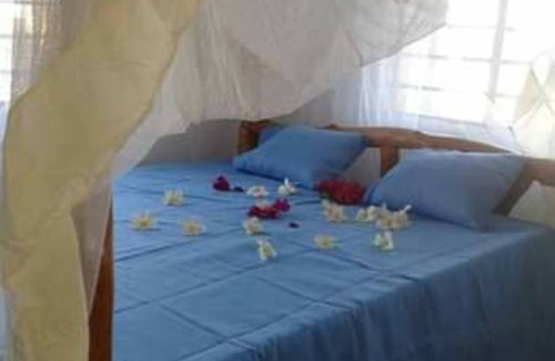 Msambweni Bed & Breakfast | Mango Lodge Msambweni