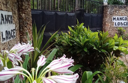 Msambweni Bed & Breakfast | Mango Lodge Msambweni