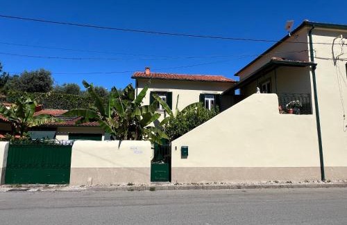Castanheira de Pera House | Manor Meeder