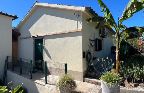 Castanheira de Pera House | Manor Meeder