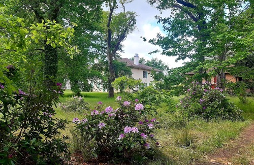 Pontenx-les-Forges House | mansion - 11 rooms - 11/12 persons