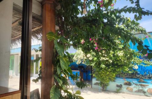 Fulidhoo House | Manta Ray