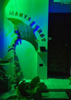 Fulidhoo House | Manta Ray