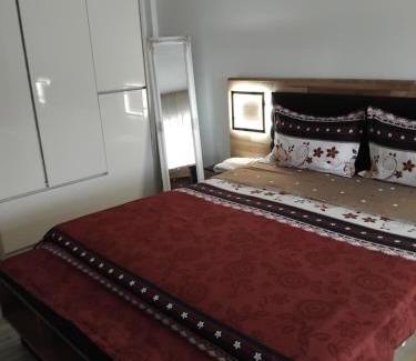 Tirgu Neamt Apartment | Manu Apartament