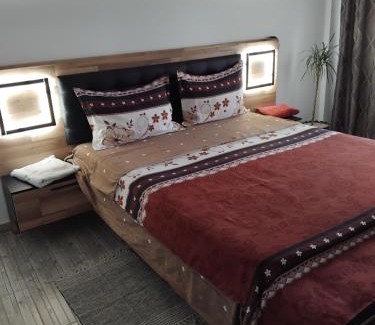 Tirgu Neamt Apartment | Manu Apartament