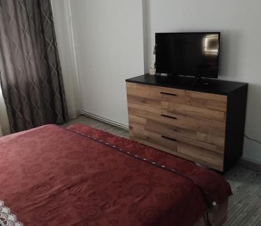 Tirgu Neamt Apartment | Manu Apartament