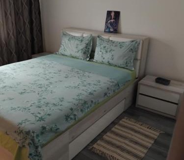 Tirgu Neamt Apartment | Manu Apartament