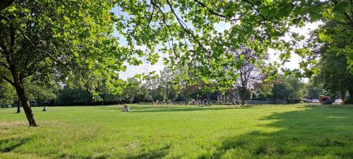 Horfield House | Maple House
