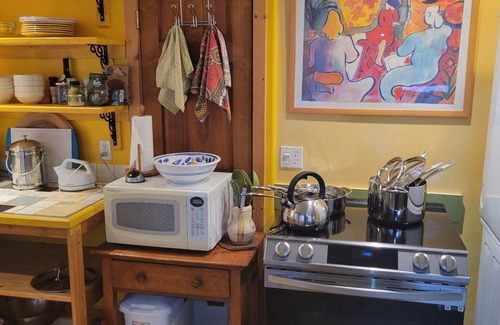 Newlands House | Mapleton Hill - Artists Colorful Apartment in Welcoming Home